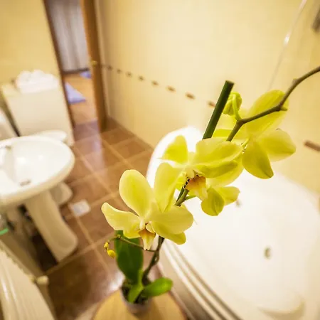 公寓 Business Class *