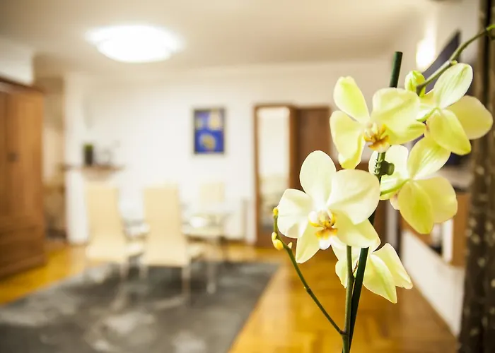 Business Class Apartment *