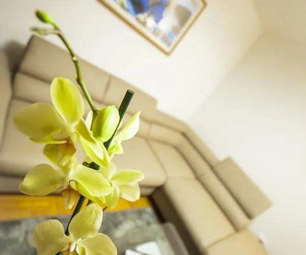 Business Class * Cluj-Napoca