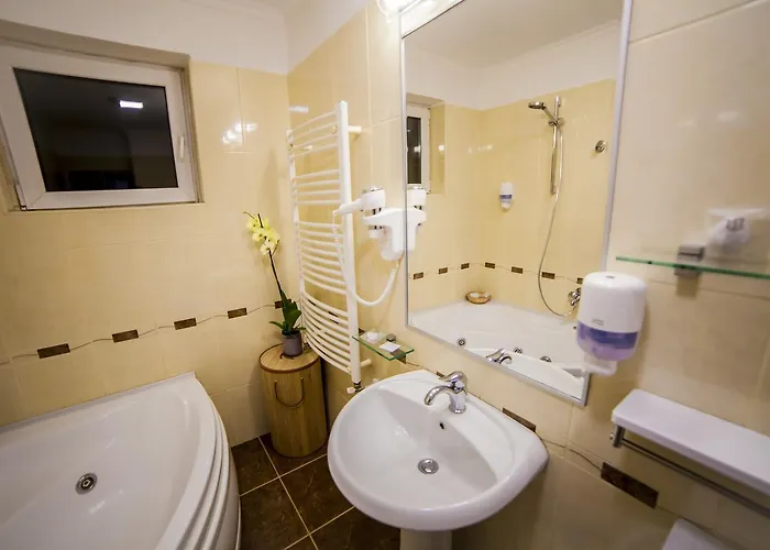 Apartment Business Class Cluj-Napoca